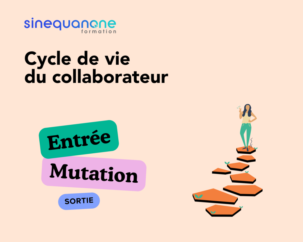 Article RH - Cycle de vie du collaborateur - sinequanone formation